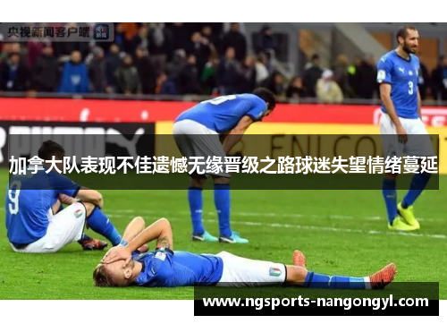 加拿大队表现不佳遗憾无缘晋级之路球迷失望情绪蔓延