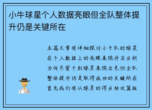 小牛球星个人数据亮眼但全队整体提升仍是关键所在