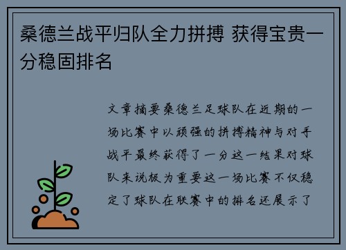 桑德兰战平归队全力拼搏 获得宝贵一分稳固排名