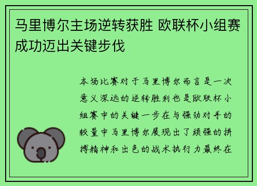 马里博尔主场逆转获胜 欧联杯小组赛成功迈出关键步伐